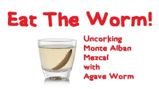 Uncorking Monte Alban Mezcal w Agave Worm [upl. by Nnave]