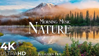 Morning Relaxing Music  Nature Relaxation Film 4K  Peaceful Relaxing Music  Video UltraHD [upl. by Nilram]