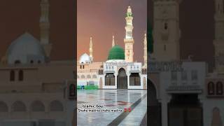 Shahe madina shahe madina [upl. by Sima452]