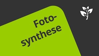 Die Geschichte der Entdeckung der Fotosynthese  Biologie [upl. by Chen]