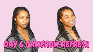 Refresh Day 10 Canerows and Two Strand Twists Protective Style  Box Braids No Puffy Roots [upl. by Nahsor689]