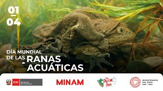 Día Mundial de las Ranas Acuáticas [upl. by Bolme995]