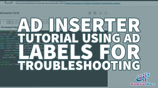 Ad Inserter Tutorial  Using Ad Labels For Troubleshooting [upl. by Arekat414]