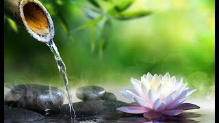 Solfeggio 528 Hz  Water Sounds  Tibetan bowls  OM Mantra ➤ Positive Healing Energy [upl. by Fleisher]