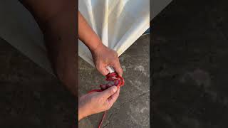 Absolutely the BEST Tarp Corner Knot [upl. by Iot]