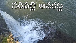 saripalli dam vizianagaram first vlog saripalliwaterfalls vizaynagaram [upl. by Jonah883]