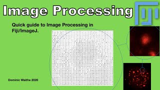 Quick guide to Image Processing in FijiImageJ [upl. by Enitsenrae]