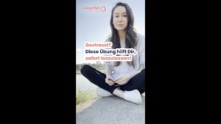 1 Übungen  Gestresst❓ Diese Übung hilft Dir sofort loszulassen❗ Atemübung 1 [upl. by Ayote]