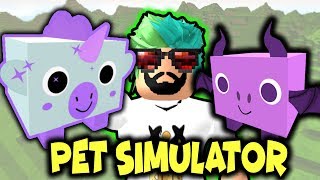 🐱 DÜNYANIN EN GÜZEL PETLERİ 🐶 ROBLOX PET SİMULATOR [upl. by Lorrimor]