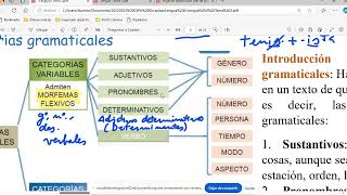 Categorías gramaticales el sustantivo y el adjetivo el género dimensional Lengua II ESO Adultos [upl. by Lund933]