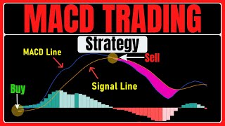 BEST MACD Trading Strategy 86 Win Rate [upl. by Akeylah]