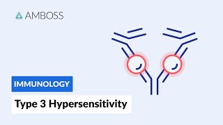 Immune ComplexMediated Hypersensitivity Type III Hypersensitivity Reaction [upl. by Entroc]