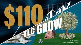 TLC Coin Return 7730 In One Month  Reality of Tlc Coin  India NO1 Crypto Currency Project [upl. by Enitnatsnoc]