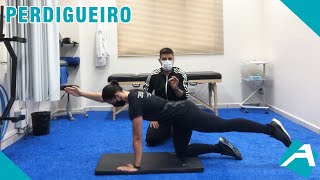 MUSCULAÇÃO EXERCÍCIO PERDIGUEIRO [upl. by Suruat765]