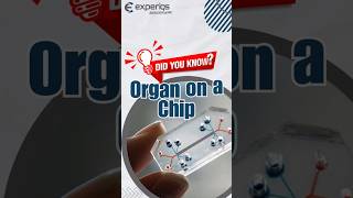 Revolutionizing Biomedical Research with Organ on a Chip Technology organonachip innovation [upl. by Terrijo]