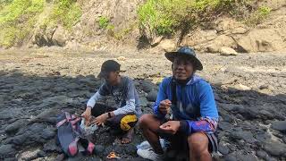 4 Hunting Predator Fish in the Marine Forest Nature Reserve [upl. by Weaks]