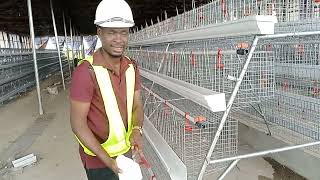 General Poultry Battery Cage Management System  Tips and Tricks [upl. by Senzer]