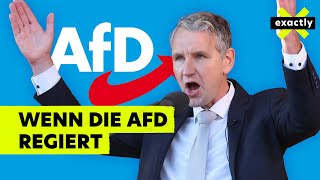 Was wäre wenn die AfD regiert  in Thüringen und Sachsen  Doku  exactly [upl. by Einnos]