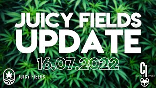 Juicy Fields Firmen Update  16072022  Bad News 😬 [upl. by Neyugn]