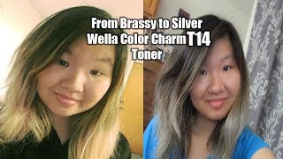 Brassy to Silver Hair Using Wella Color Charm T14 Toner [upl. by Leola]