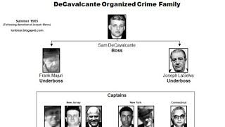 DeCavalcante Crime Family Suspected Member organizedcrime mafia newjersey [upl. by Lakym]