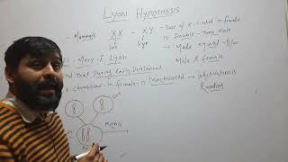 Lyon Hypothesis of X inactivation [upl. by Ahsilyt]