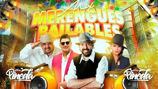 Mix Merengues Clásicos  Juan Luis Guerra Olga Tañon Eddy Herrera Proyecto Uno [upl. by Quita456]