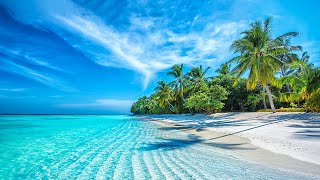 Beautiful Relaxing Music  Stop Overthinking Mind Calm Serene Seascapes for Ultimate Relaxation [upl. by Asssilem]