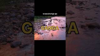 Exploring the Sacred Ganga River from Above  Drone Footage in 4K ganga gangariver [upl. by Timmy]