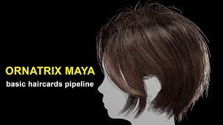 Ornatrix Maya  How to work with HairCards  Full pipeline example [upl. by Hayila438]