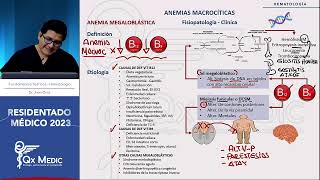 Hematología  3 Anemias Macrocíticas [upl. by Ayoras]