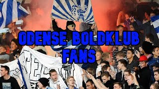 ODENSE BOLDKLUB FANS  BEST MOMENTS DENMARK [upl. by Aivlys]