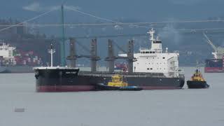 SHIP TRAFFIC Pacific Canada [upl. by Leen]