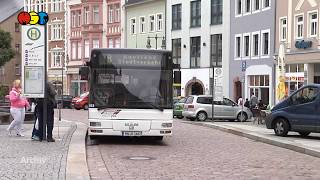 Normalbetrieb bei Bus und CityBahn [upl. by March]