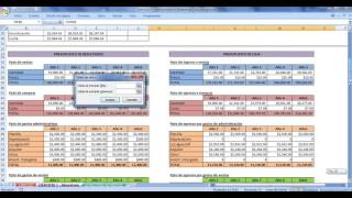 Analisis de sensibilidad y escenarios [upl. by Ahtanamas]