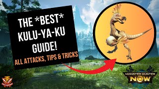 The BEST KULUYAKU GUIDE All Attacks Tips and Tricks l Monster Hunter Now [upl. by Clarance636]