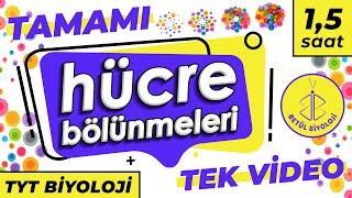 Hücre Bölünmeleri Tekrar  TAMAMI TEK VİDEO  TYT Biyoloji Konu Anlatımı [upl. by Annaihs]