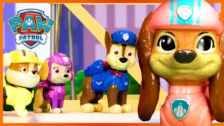 Pups Save Carnival Day Elephants in the Jungle and more  PAW Patrol Episode  Cartoons for Kids [upl. by Igic]