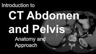 Introduction to CT Abdomen and Pelvis Anatomy and Approach [upl. by Robinson]