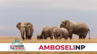 Amboseli National Park [upl. by Allianora973]