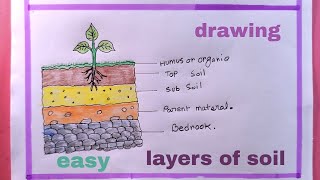 how to draw layers of soil diagramhow to draw soil profilesoil profile drawing [upl. by Kcirtapnhoj]