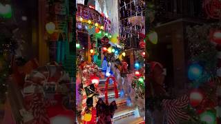 Dyker Heights Christmas Lights Brooklyn NY [upl. by Neirb]