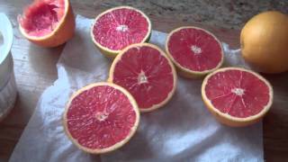 Red Navel Orange [upl. by Akenat]