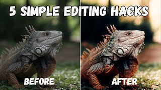 5 Essential Lightroom Editing Tips You Wont Learn Elsewhere [upl. by Airad]