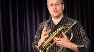 Yamaha YFH631G Professional Flugelhorn [upl. by Iver]