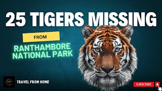 25 Tigers Missing from Ranthambore Tiger Reserve  Travel From Home  2024 [upl. by Uno416]