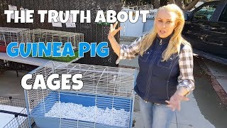 How Much Cage Space do Guinea Pigs Really Need [upl. by Pinette]