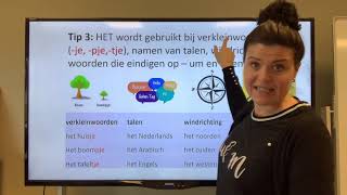 NT2 DE amp HET het raam de ramen wat zijn de regels lidwoorden grammatica Learndutch TC 62 [upl. by Maleen]