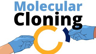 Molecular Cloning explained for Beginners [upl. by Aehsila363]