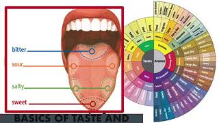 SCA Coffee Sensory Skills Foundation  Part 1  Sharing my old PowerPoint slides with explanations [upl. by Dolores]